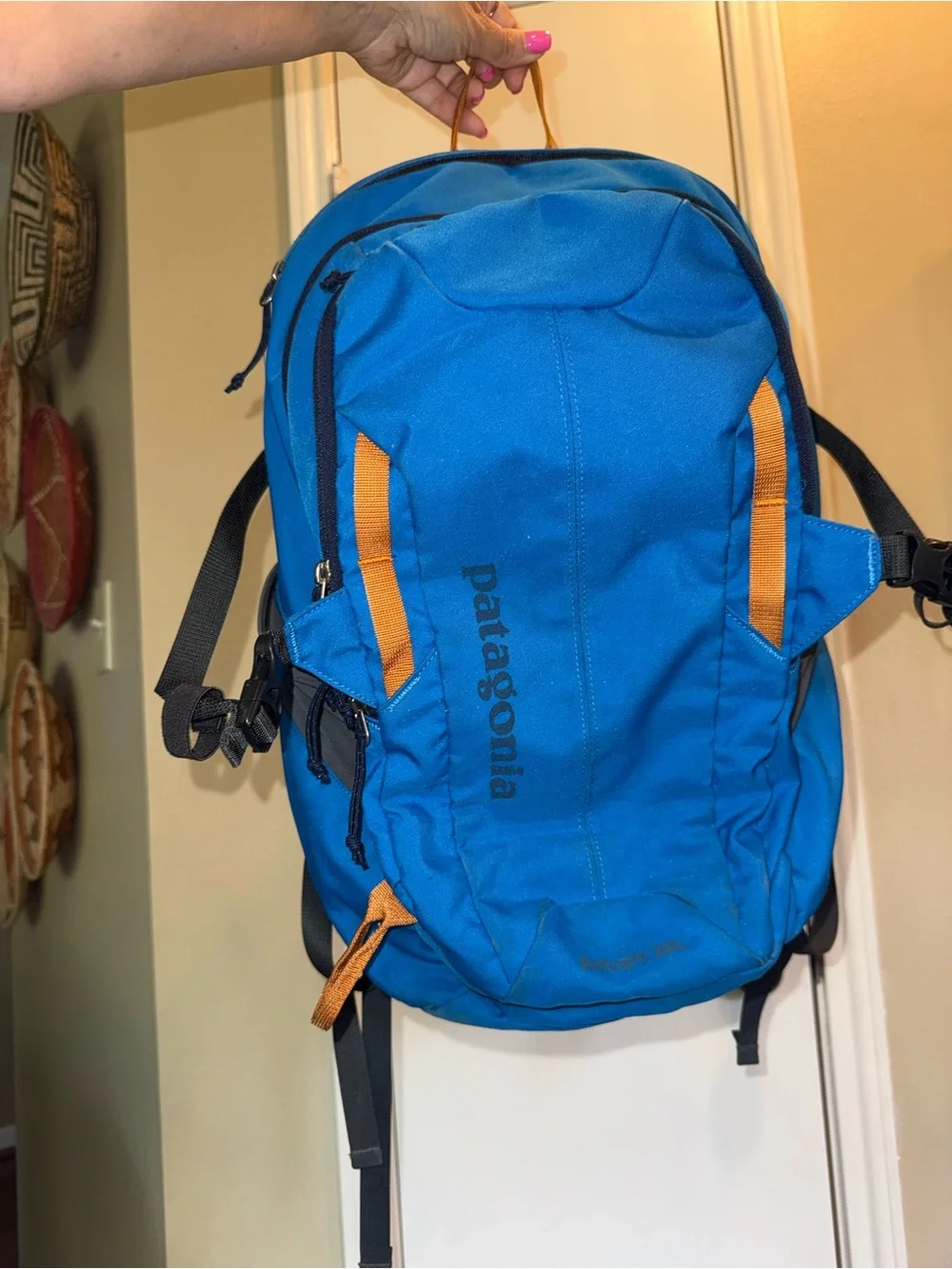Patagonia Backpack